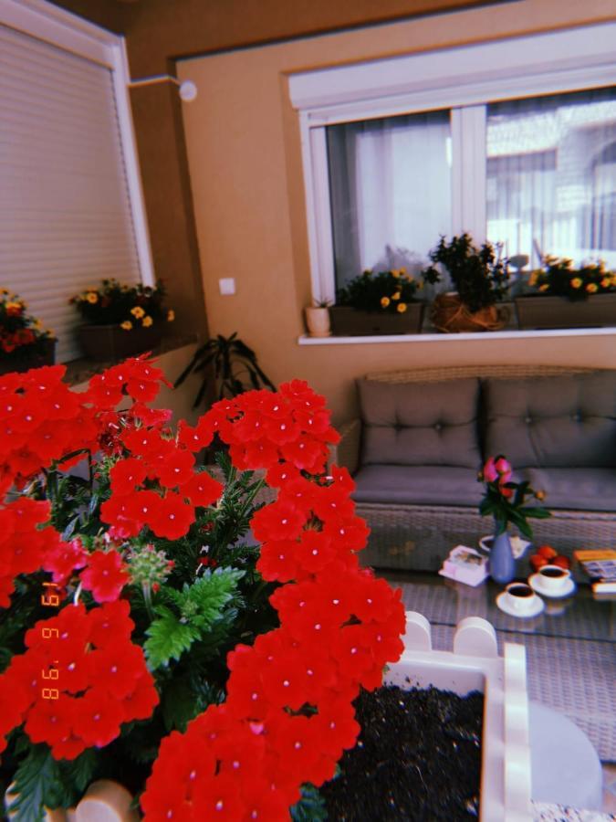 Apartman Jela Nova Varos Luaran gambar